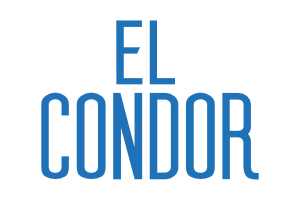El Cóndor